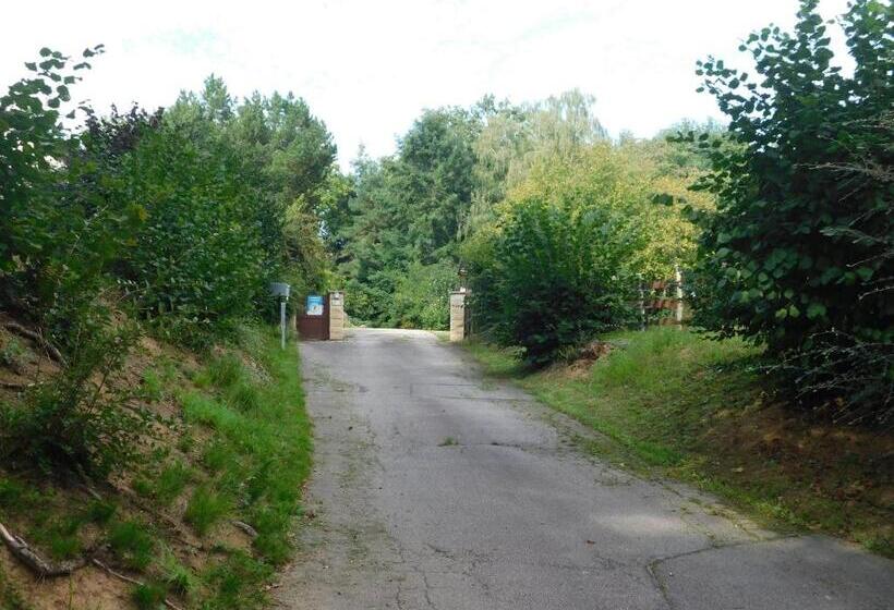 مبيت وإفطار L Amandaure