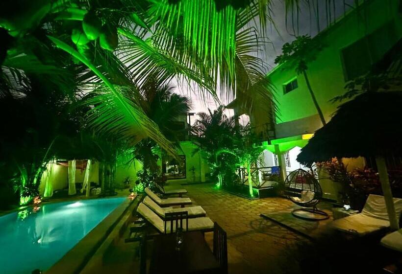 فندق Cezere The Palm
