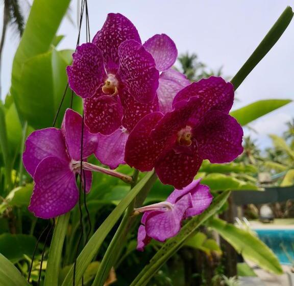 住宿加早餐  Thoduwawa Beach Villa