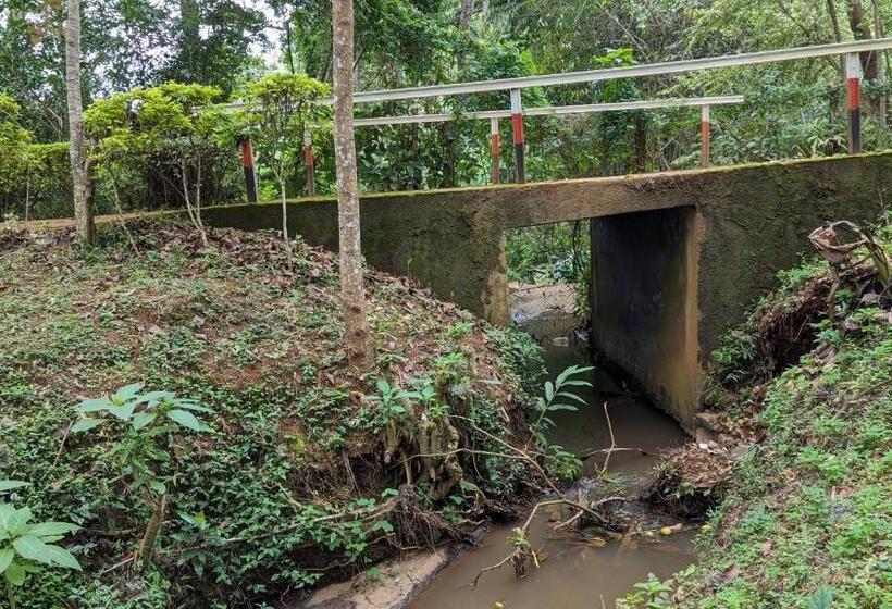 فندق Lushoto Executive Lodge