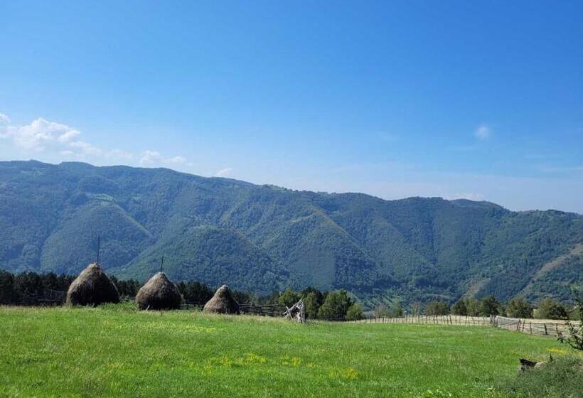 پانسیون Mateo Transalpina