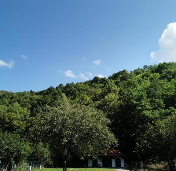 پانسیون Mateo Transalpina