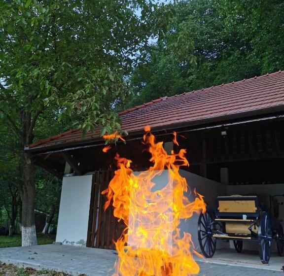 پانسیون Mateo Transalpina