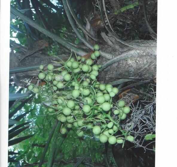 فندق صغير Posada Los Reyecitos
