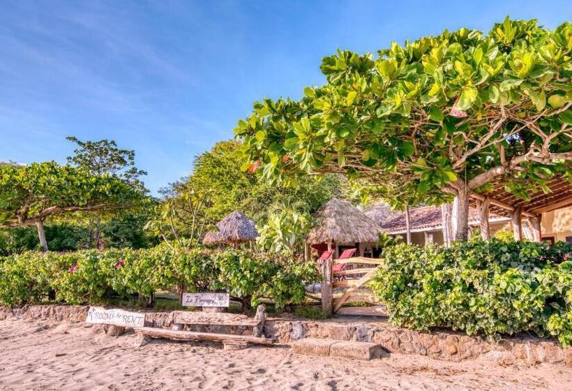 مبيت وإفطار La Veranera, Playa El Coco