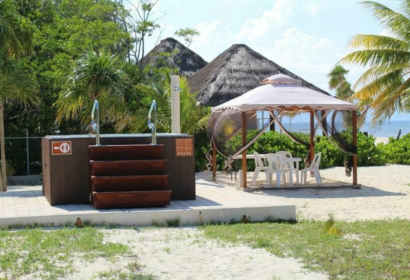 تختخواب و صبحانه Puerta Del Mar Cozumel