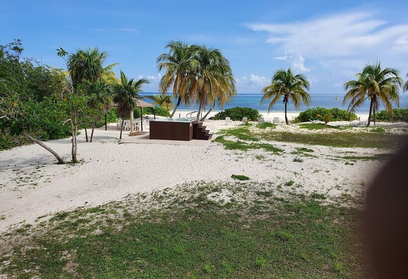 تختخواب و صبحانه Puerta Del Mar Cozumel