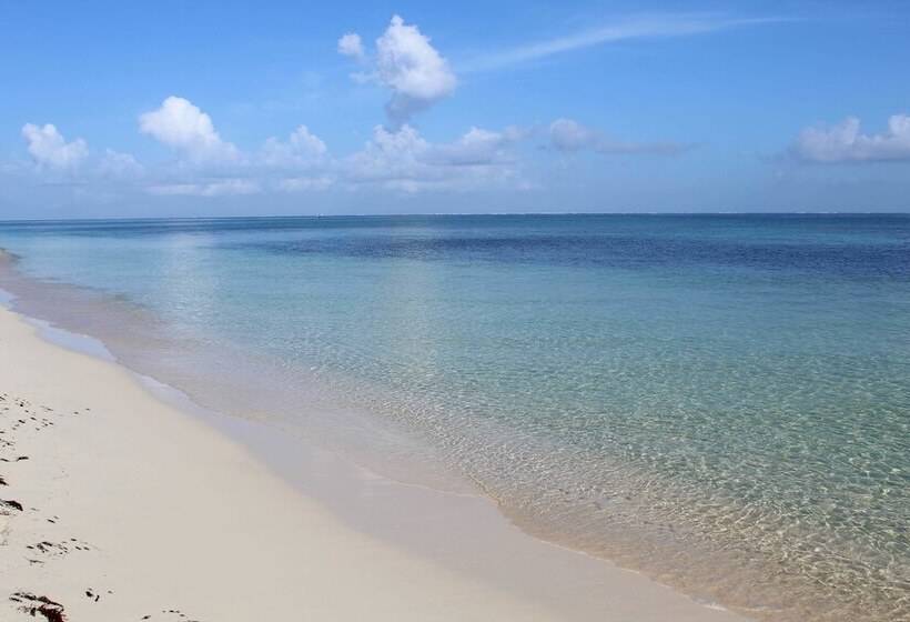 تختخواب و صبحانه Puerta Del Mar Cozumel