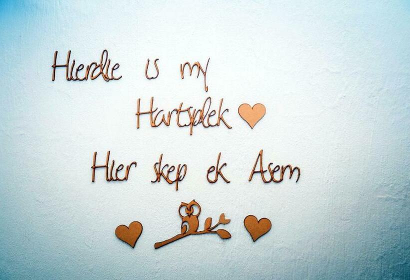 ペンション Kalahari Camelthorn Guesthouse And Camping