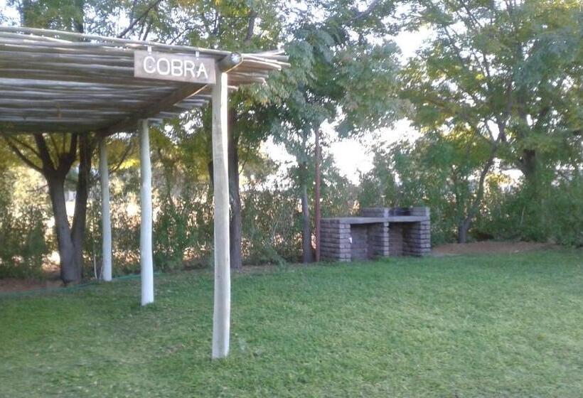 ペンション Kalahari Camelthorn Guesthouse And Camping