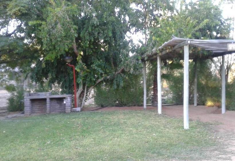 ペンション Kalahari Camelthorn Guesthouse And Camping