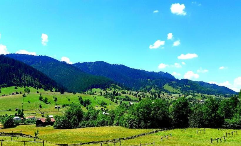 Pensiunea Vatra Bucovinei