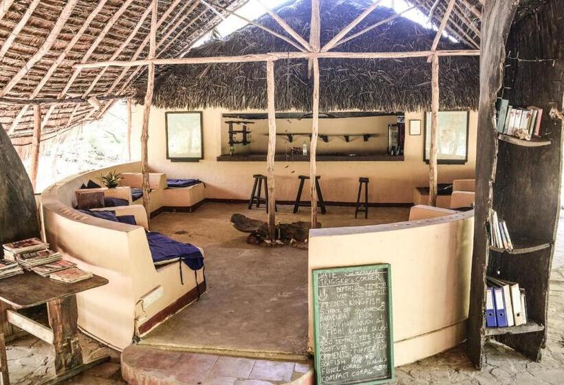 منتجع Gecko Nature Lodge Home Of Swahili Divers The Best Dive Center And Famous Gecko Restaurant