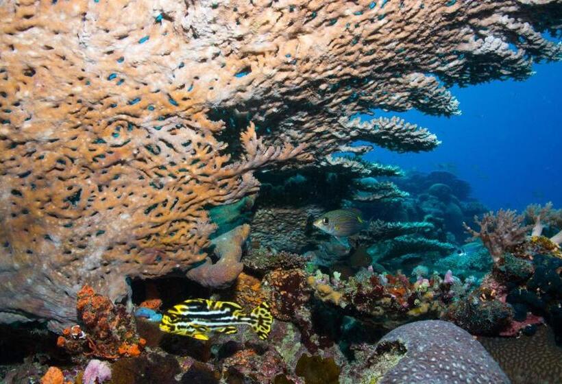 منتجع Gecko Nature Lodge Home Of Swahili Divers The Best Dive Center And Famous Gecko Restaurant
