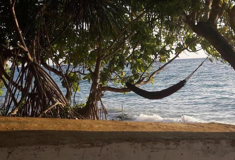 منتجع Gecko Nature Lodge Home Of Swahili Divers The Best Dive Center And Famous Gecko Restaurant
