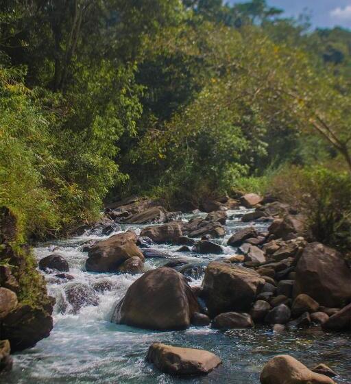 リゾートホテル Jungle River