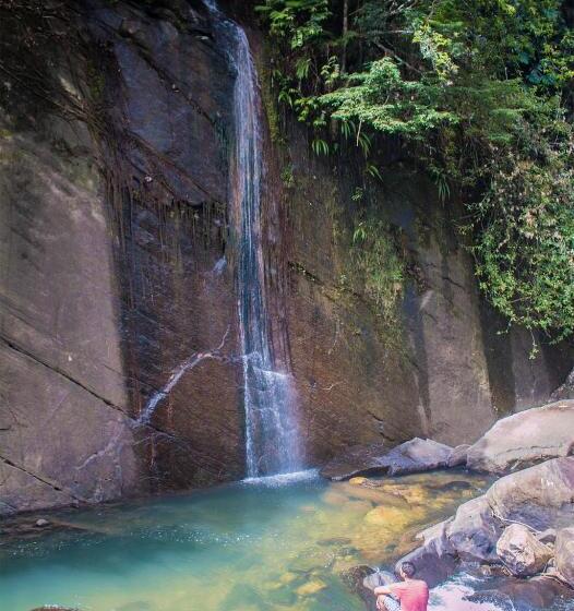 リゾートホテル Jungle River
