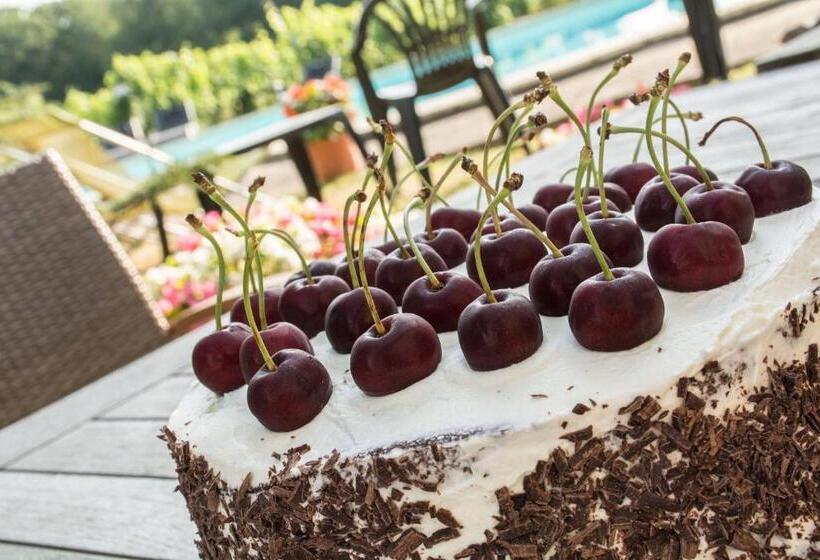 Vandenbeld Wines B&b