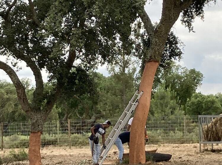 צימר Quinta Da Varzea