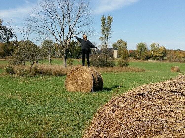 Harlem Stonegate B&b