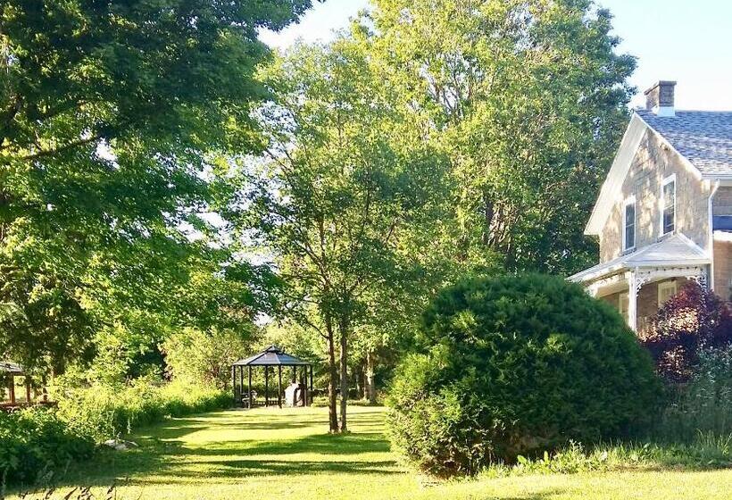 Harlem Stonegate B&b