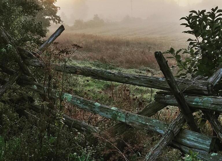 Harlem Stonegate B&b