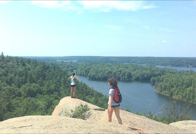 Harlem Stonegate B&b