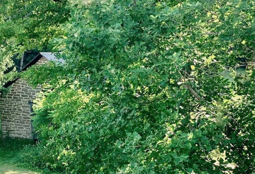 Harlem Stonegate B&b