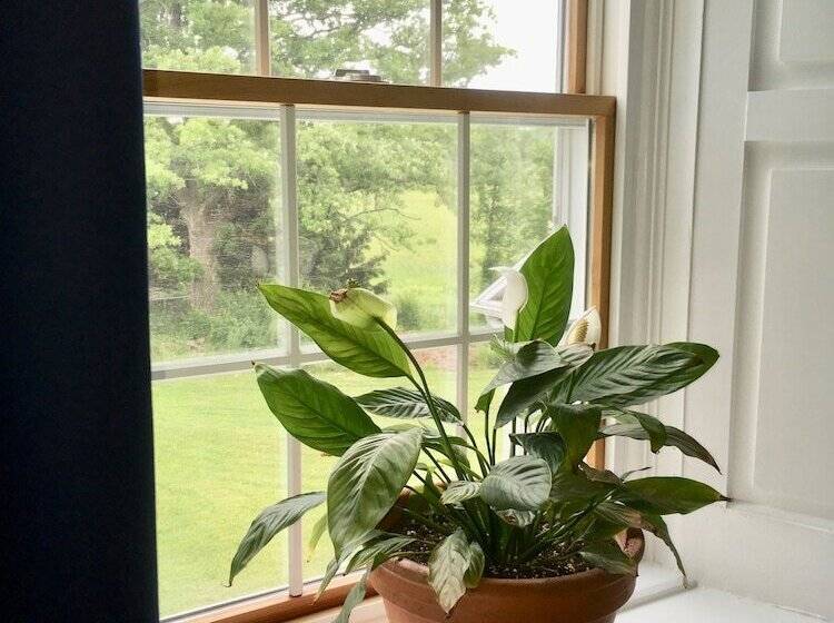 Harlem Stonegate B&b