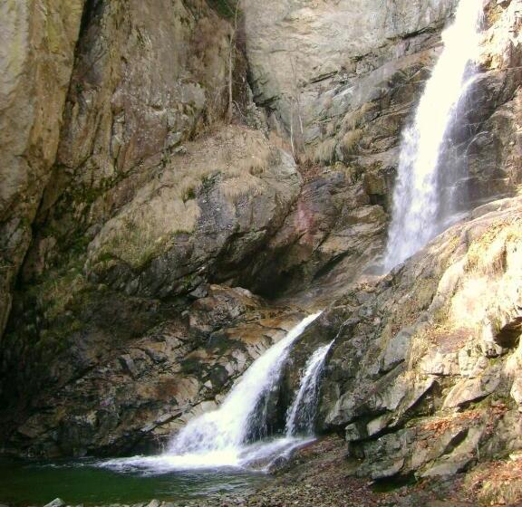 فندق Complexul Turistic Cheile Butii