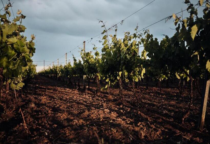 هتل Domeniile Panciu Winery & Resort