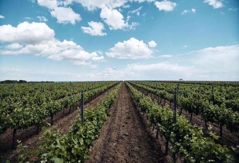 هتل Domeniile Panciu Winery & Resort