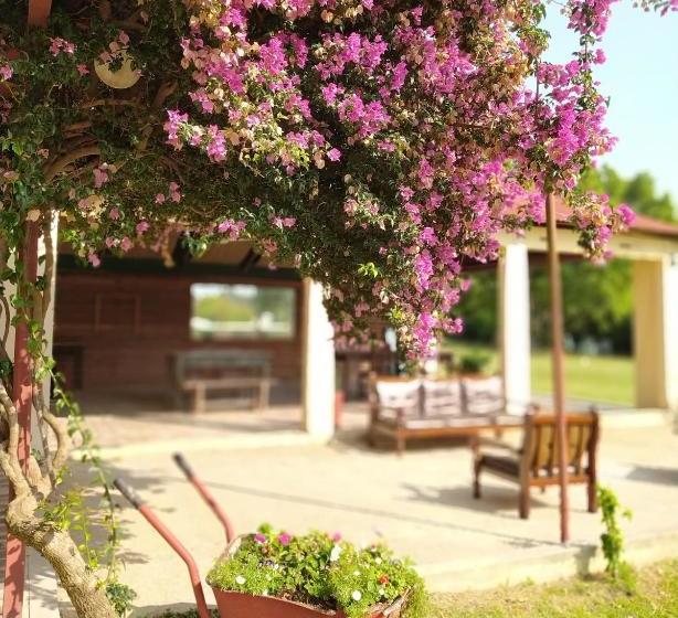 فندق La Posada De Ofelia