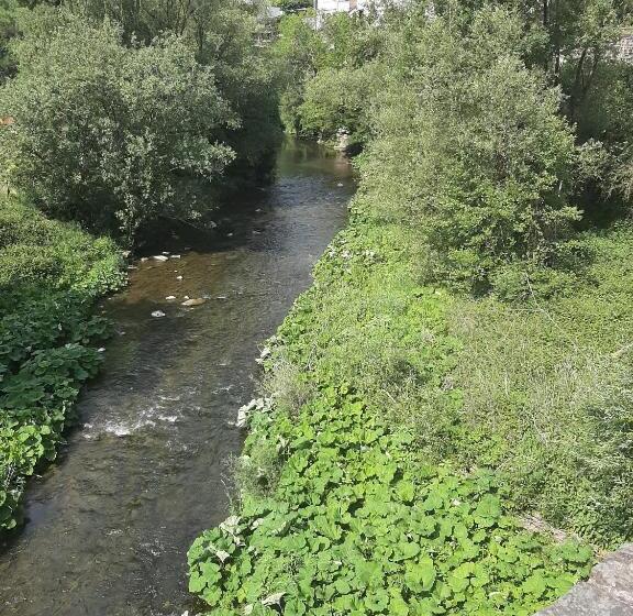 Garni Hotel Schäfer