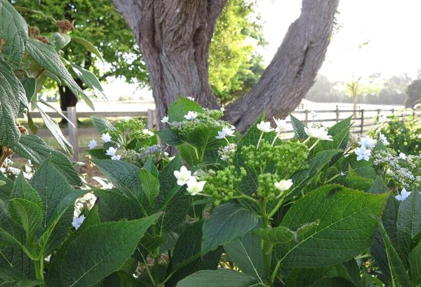 فندق Robin Hoods Well Farm Stay