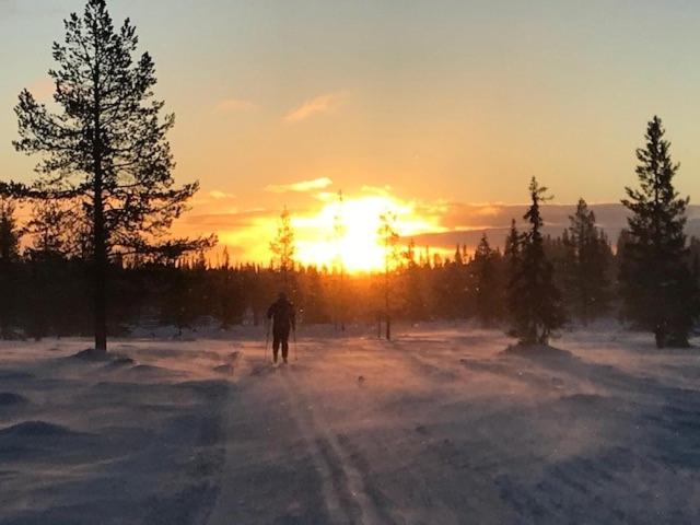 Lövåsgårdens Fjällhotell