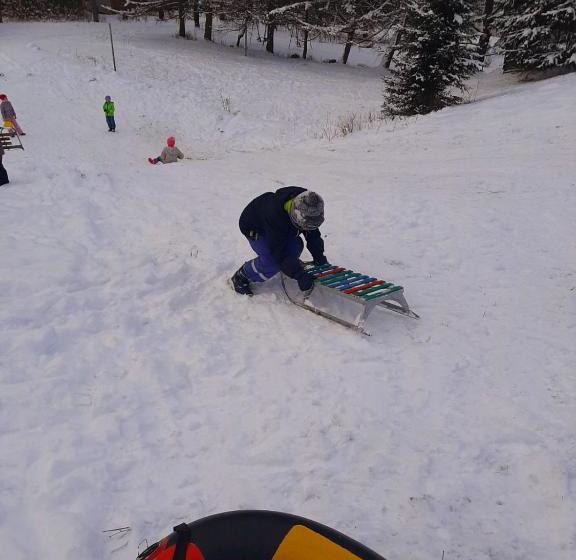 ペンション садиба в горах крістіан