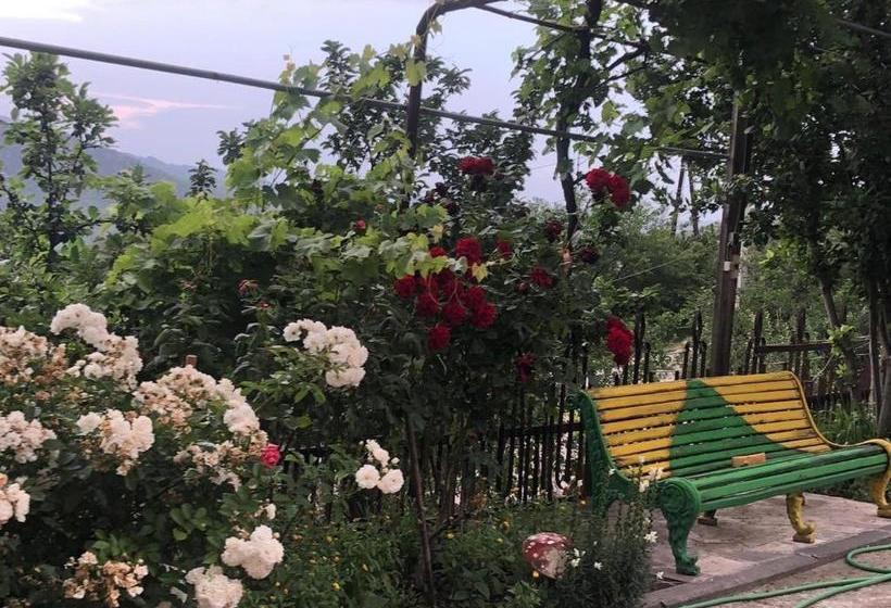 بنسيون S&s House