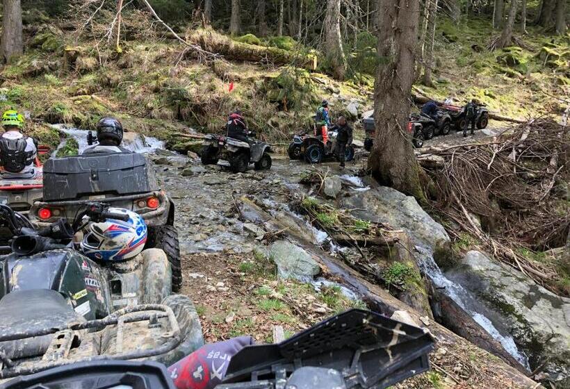 Pensiunea Montana Muntele Mic