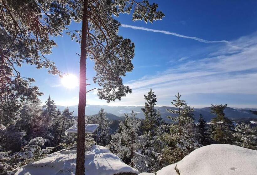 민박 Gästehaus Weitblick
