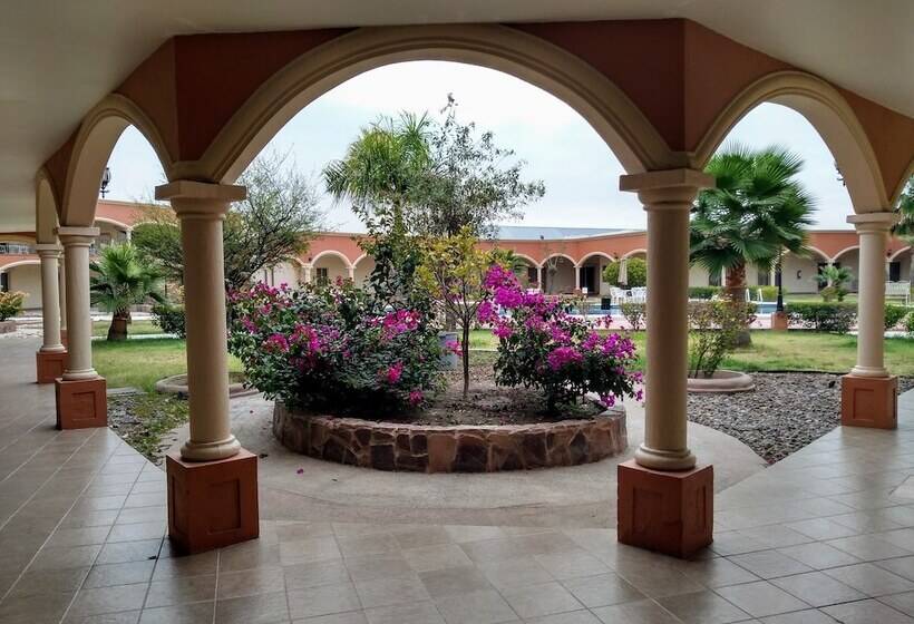 فندق Jiménez Plaza