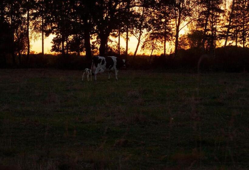 בית מלון כפרי L Persnäs
