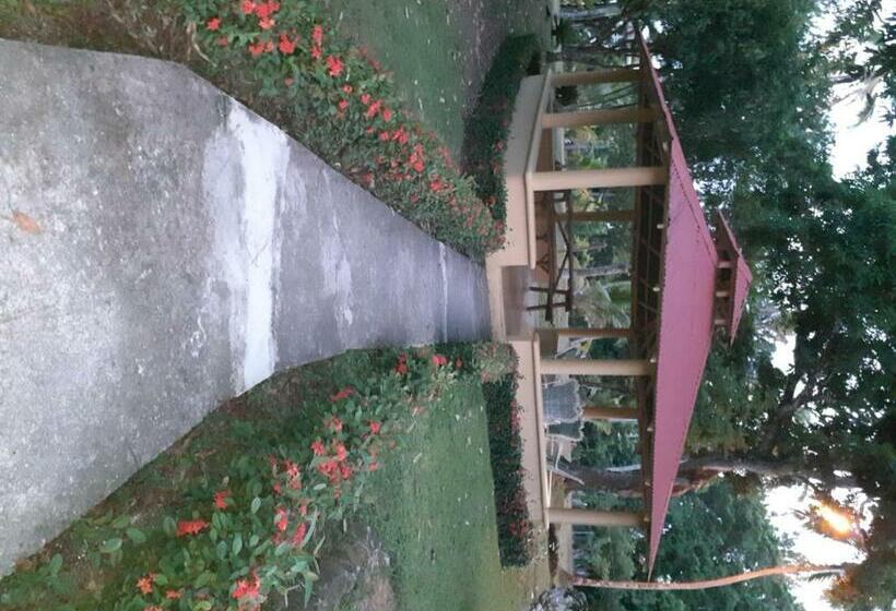هتل The Place To Enjoy Life