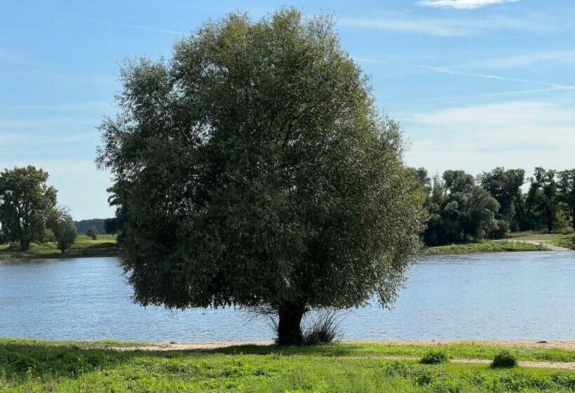 Пансион Gästehaus Am Elberadweg By Hotel Alte Fischerkate