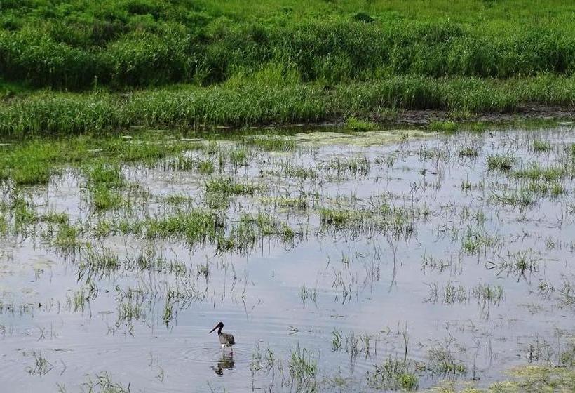 Пансион Gästehaus Am Elberadweg By Hotel Alte Fischerkate