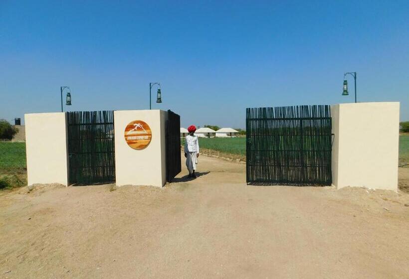 منتجع Jawai Bera Leopard Camp