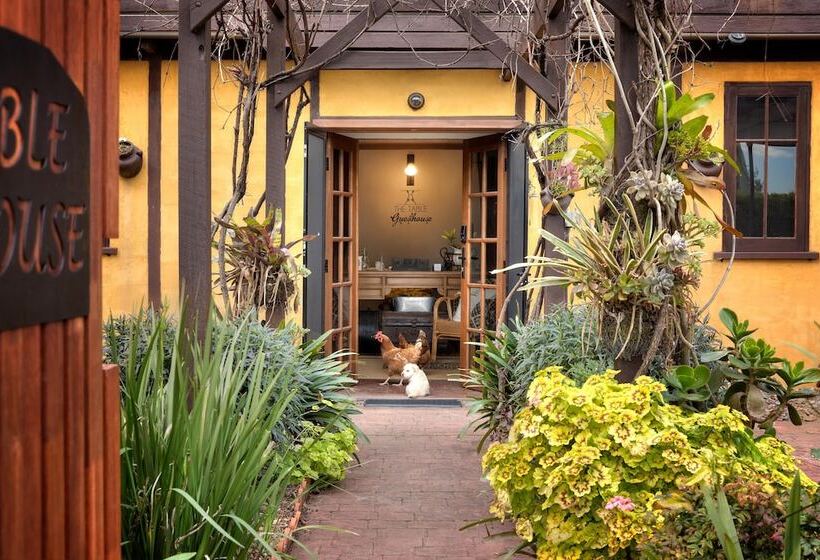 旅馆 The Table Guest House