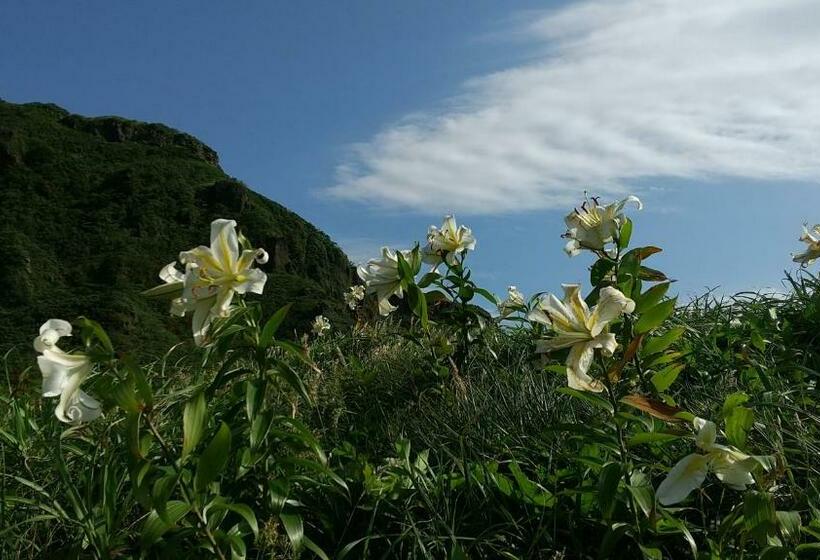 Pensionat 築100年の宿【はぶの家】