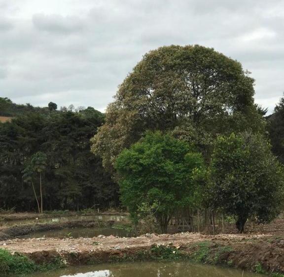 膳宿费 Rancho Dos Pássaros Amarelos