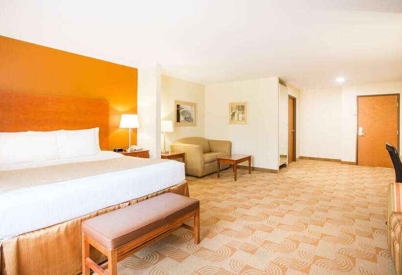 ホテル Baymont By Wyndham Savannah South